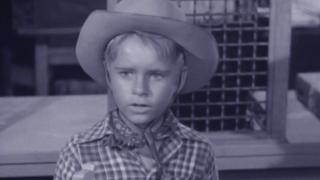 Son by Adoption