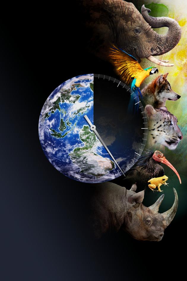 Racing Extinction