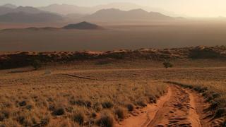 Lost City of Gold