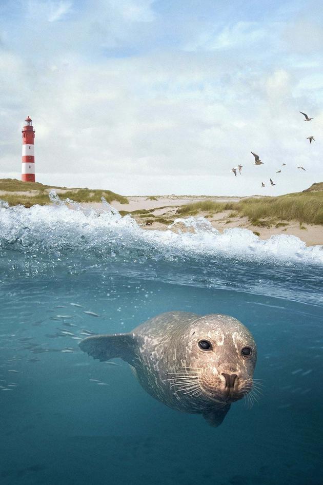 Secrets of the North Sea