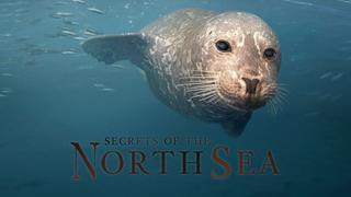 Secrets of the North Sea