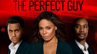  watch The Perfect Guy