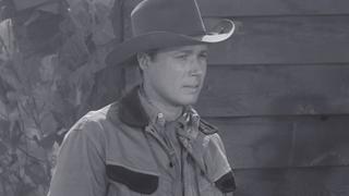 Laramie
