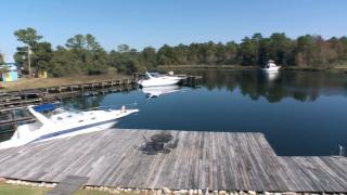 Swampy Swimming Holes