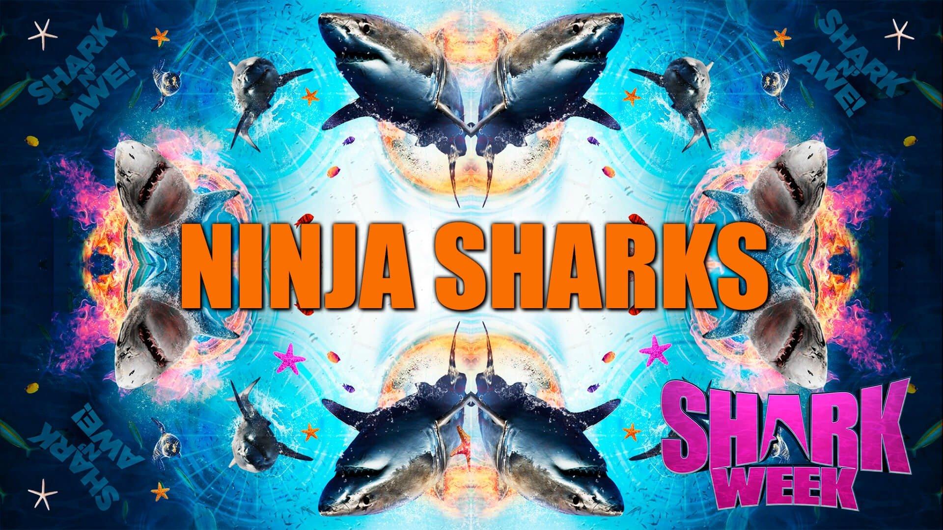 Ninja Sharks