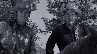Rawhide