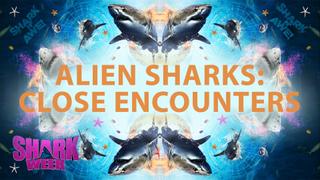 Alien Sharks: Close Encounters