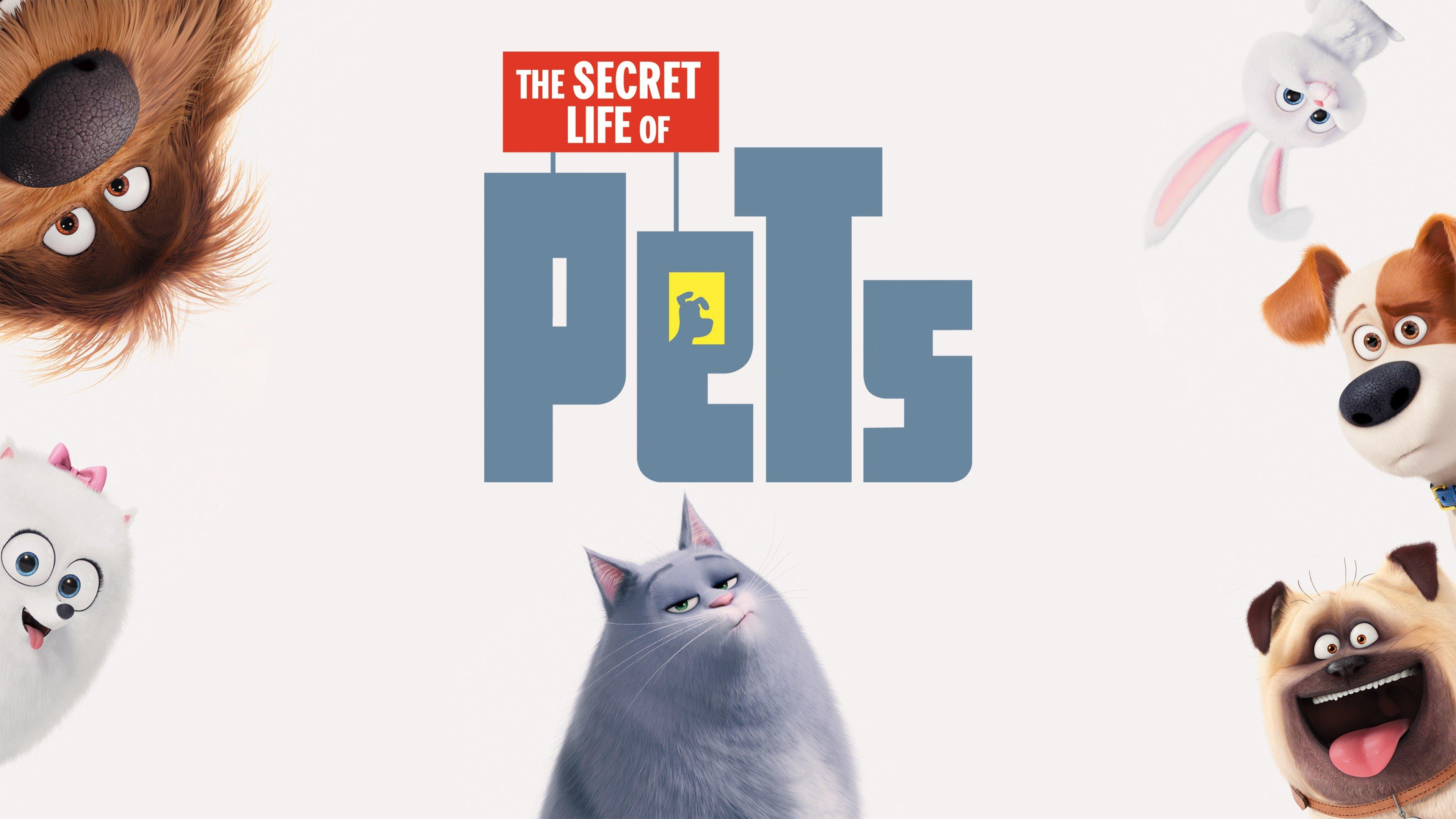 Watch The Secret Life of Pets Streaming Online on Philo (Free Trial)