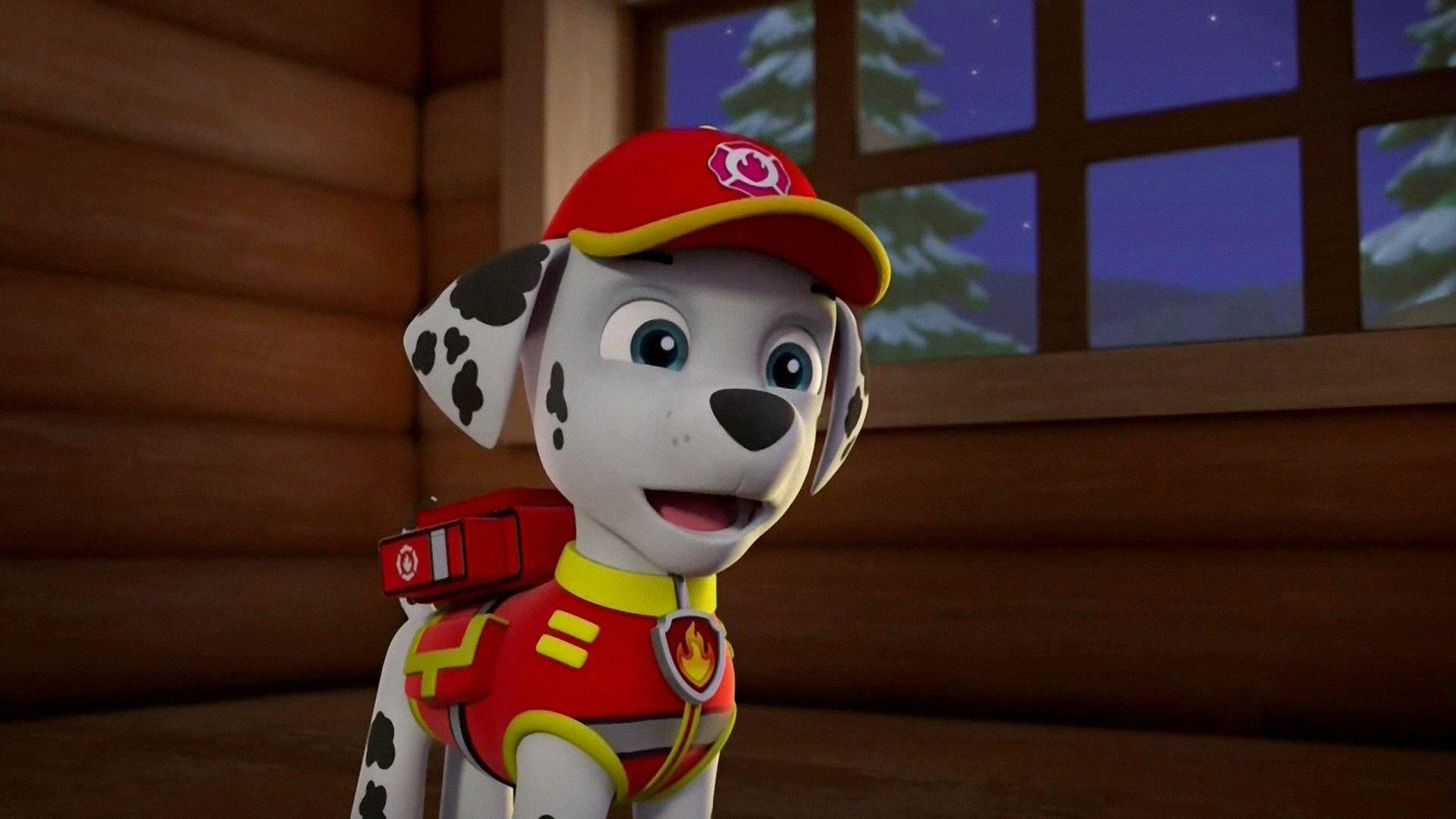 The Paw Patrol’s Pizza Peril – When Skye Needed Saving!