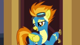 Rarity Investigates!