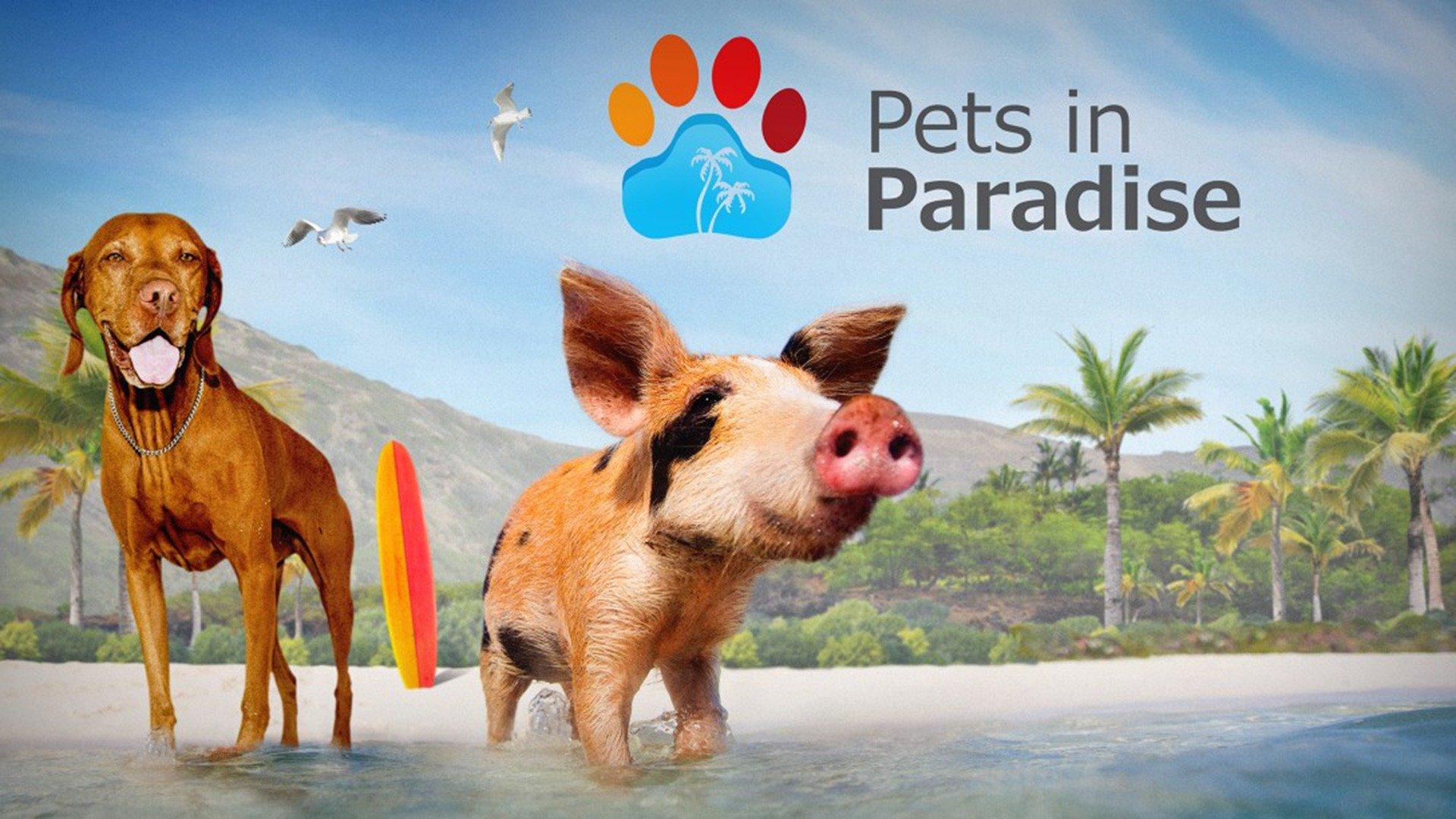 Watch Pets in Paradise Streaming Online on Philo (Free Trial)