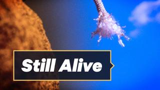 Still Alive