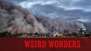 Weird Wonders