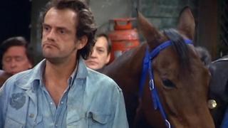Jim Gets a Pet