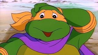 The Incredible Shrinking Turtles