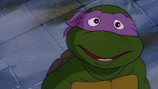 Splinter No More