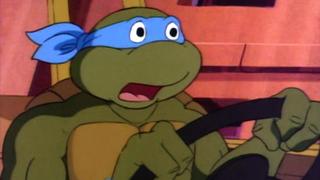 Sky Turtle