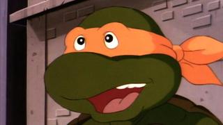 Turtles on Trial