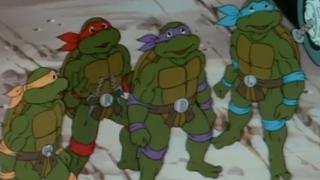 The Fifth Turtle