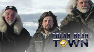Polar Bear Town