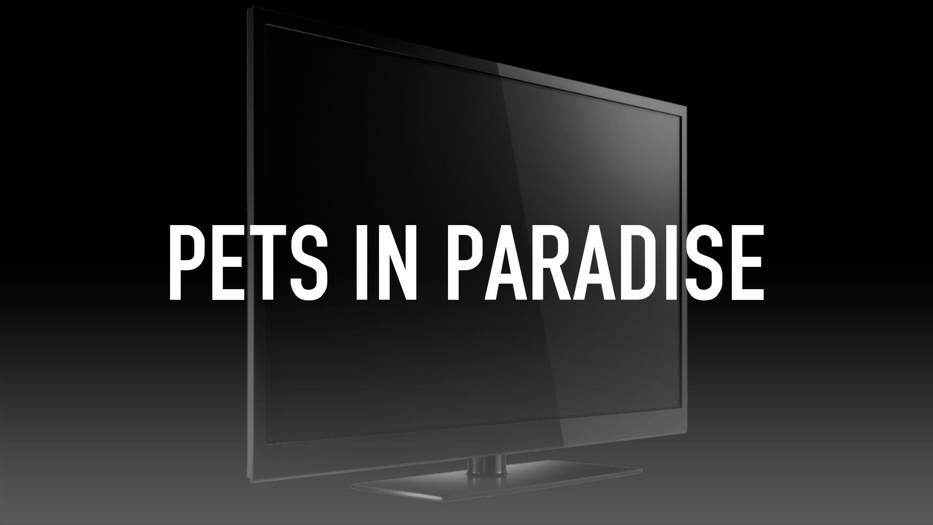 Watch Pets in Paradise Streaming Online on Philo (Free Trial)