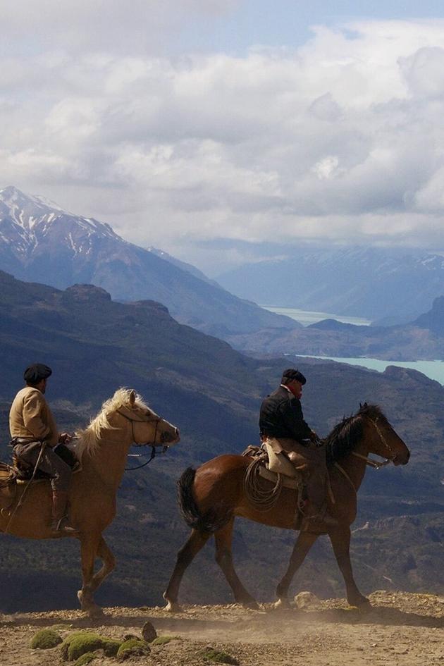 Wild Patagonia