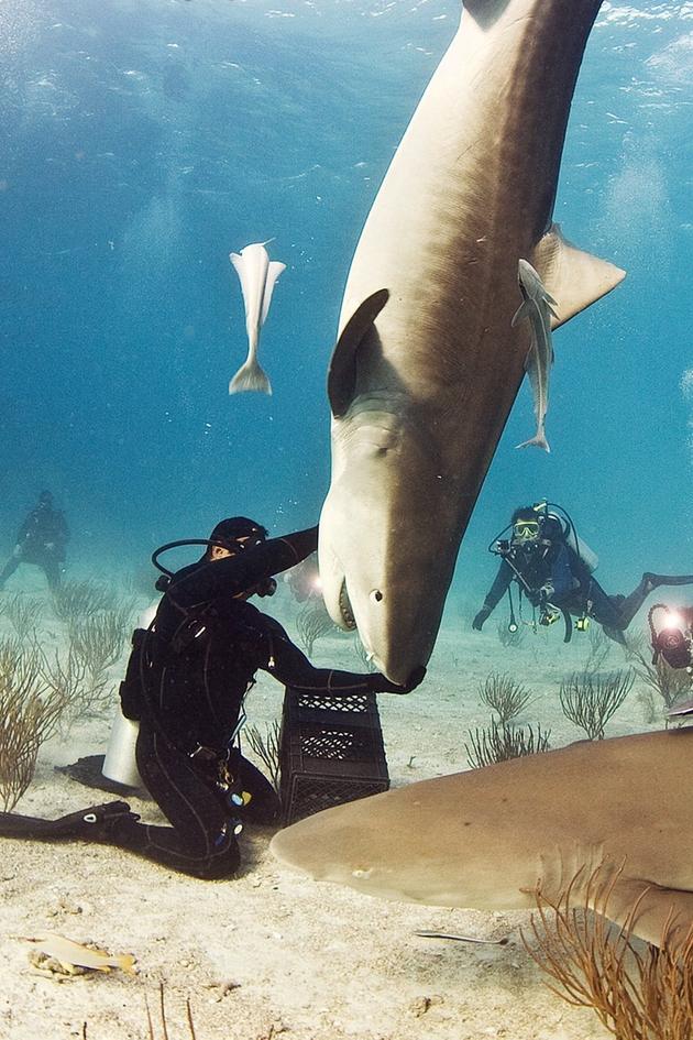 Blue Water Savages