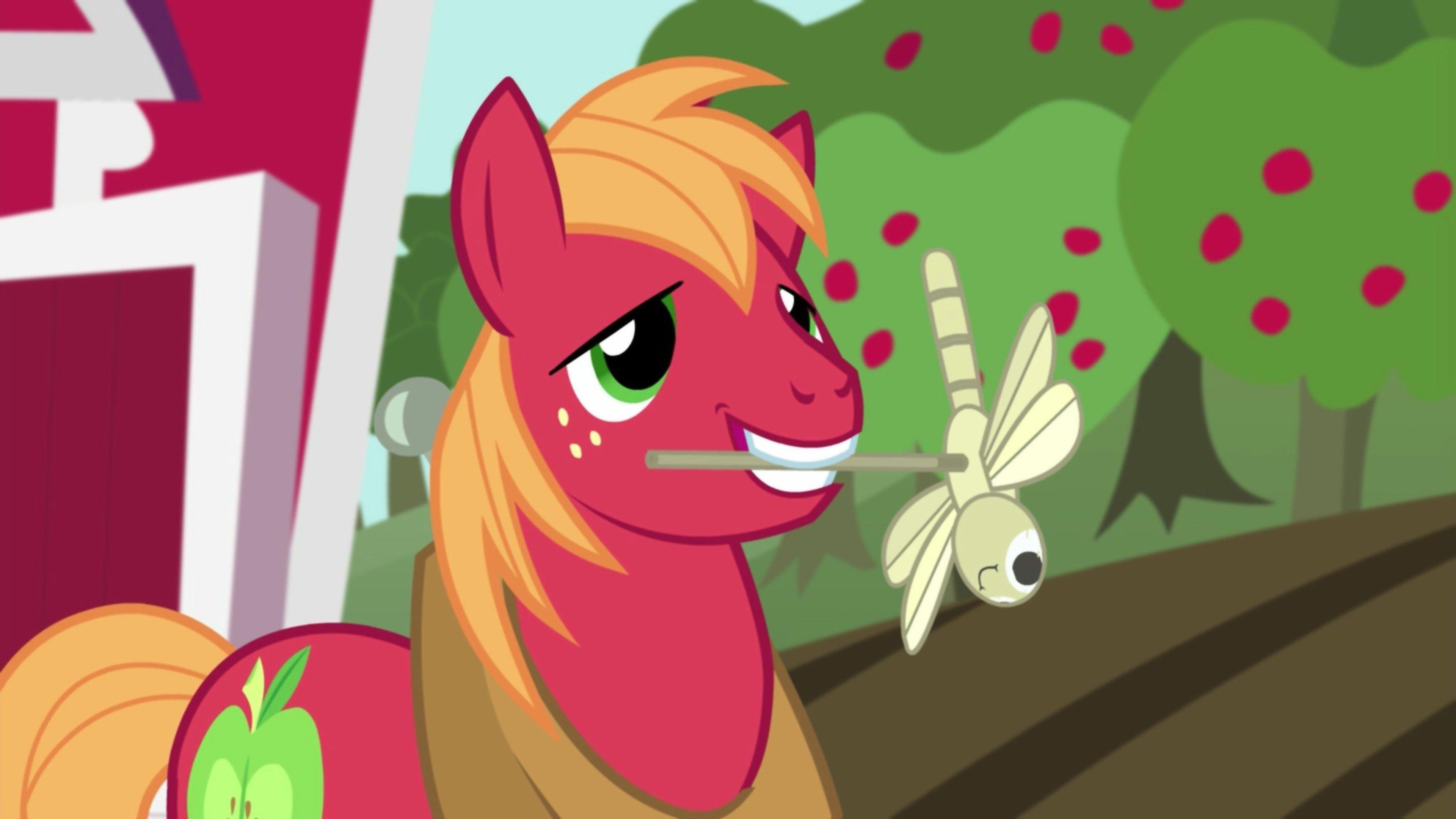 Watch My Little Pony: Friendship Is Magic: S5E17 - Brotherhooves Social ...