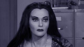 Follow That Munster