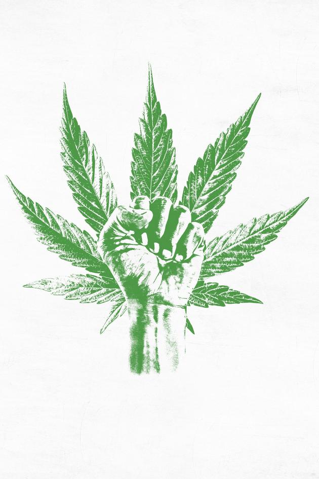 The Marijuana Revolution