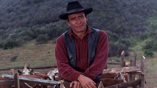 The Virginian