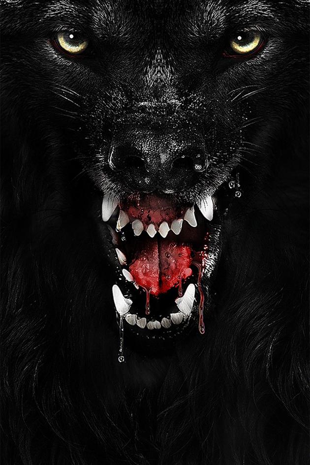 The Pack