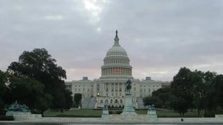 Lucy the Elephant; Capitol Bomber; Hitler in Hollywood