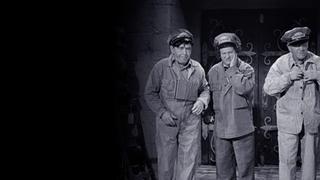 The Three Stooges