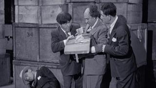 The Three Stooges