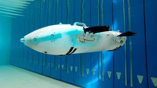 The Animal Kingdom Meets Future Tech