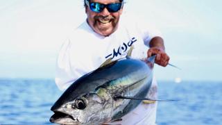 The Fin Chaser Story