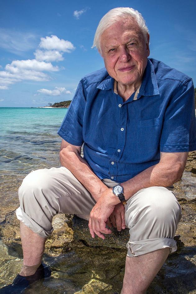 Great Barrier Reef with David Attenborough