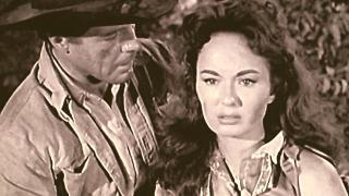 Wagon Train