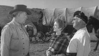 Wagon Train