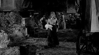 Wagon Train