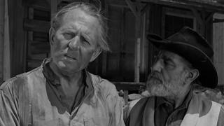 Wagon Train