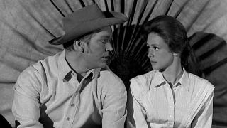 Wagon Train
