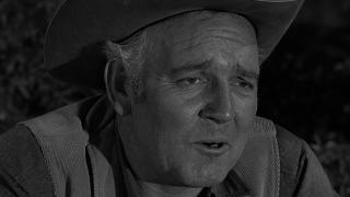 Wagon Train