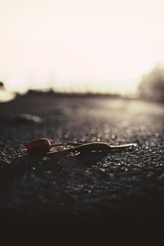 Forbidden: Dying for Love