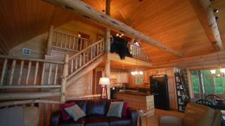 Boston Couple Seeks White Mountain Cabin Retreat