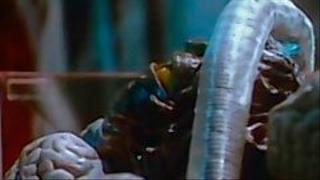 To Heal the Leper