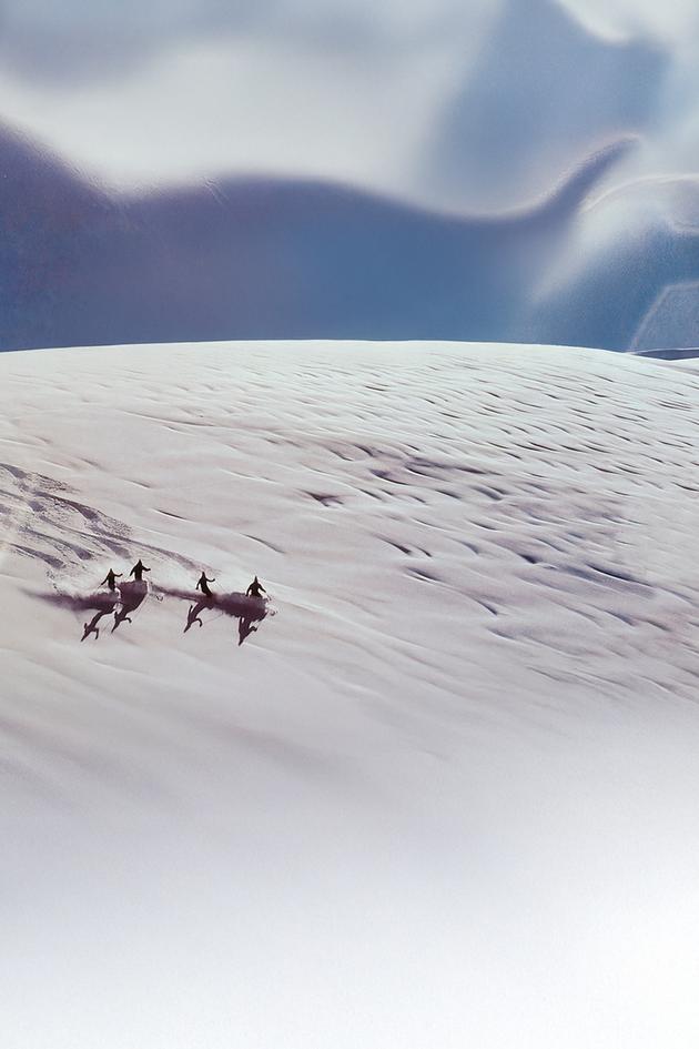 Warren Miller's Snowonder