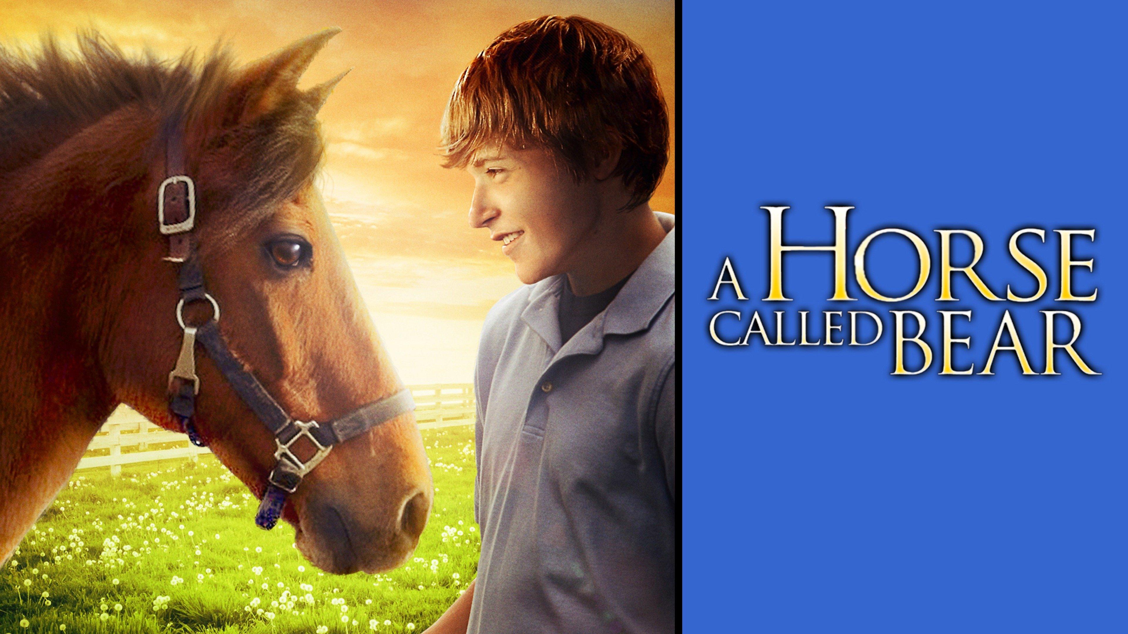 Watch A Horse Called Bear Streaming Online On Philo Free Trial what-is-a-baby-horse-called-youtube