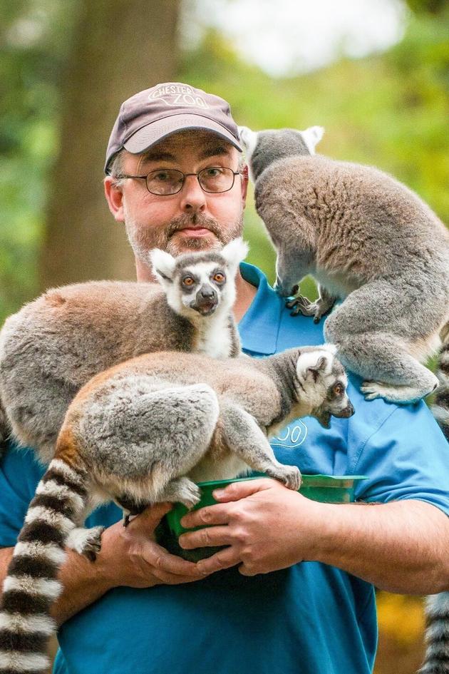 The Secret Life of the Zoo